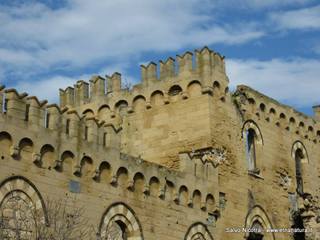 stello duca di Misterbianco-08-03-2014 20-35-37